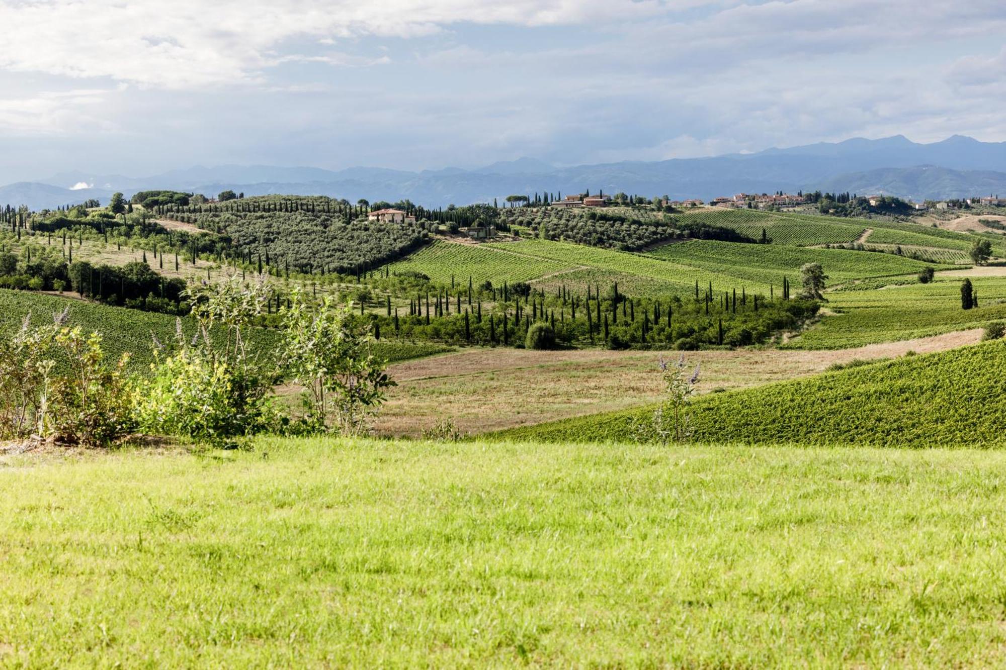 Colle Alberti Country House Cerreto Guidi Εξωτερικό φωτογραφία